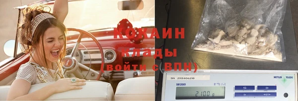 дурь Белокуриха