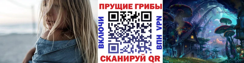 где купить наркоту  Ачхой-Мартан  Псилоцибиновые грибы MAGIC MUSHROOMS 