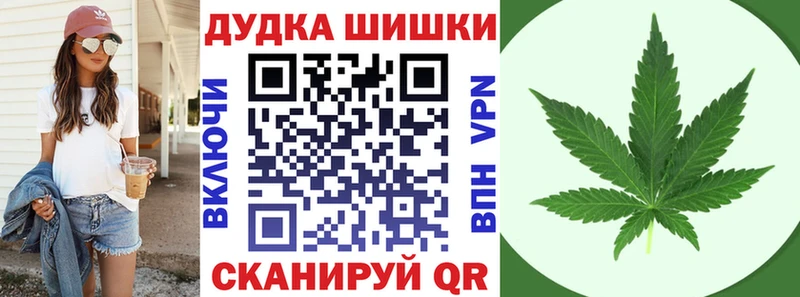 Конопля сатива Ачхой-Мартан